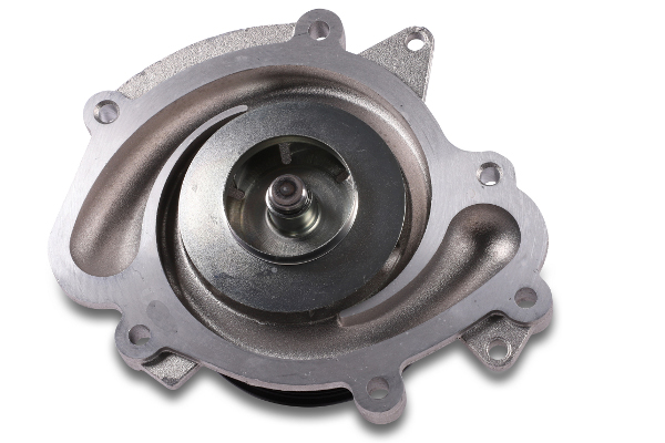 Hepu P1521 Waterpomp